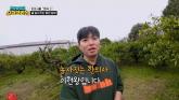 수능 '5수' 해서 한의사 된 청년이 제주도 내려가서 '감귤농사' 짓는 이유