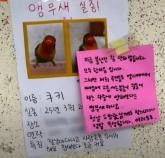 화재로 60명 대피했는데... 불낸 집주인, 소방관에 '애완 앵무새' 찾아달라 요청