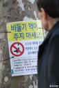 7월부터 서울서 비둘기 먹이주면 과태료 낸다... '최대 ○○○만원'