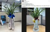 尹에게 받은 당선 축하 '난'... '파면을 축하합니다'로 재포장해 돌려준 국회의원