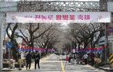 '바가지 논란' 일은 제주 벚꽃축제서 '집단 식중독' 증세... 의심 환자만 80명