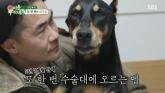 반려견 벨 악성 종양 수술, 1시간 끝에 성공... 배정남 벨 향해 '사랑해'