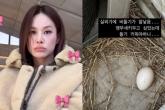 '키워야 하나요?'... 실외기서 '비둘기 알' 발견한 유명 가수, 반전 결과 전했다