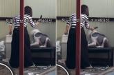 동두천 미용실서 대형견 묶어놓고 미용기기로 폭행한 견주