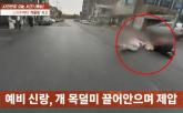진돗개에 허벅지 물려 근육 파열된 30대 여성... 견주 '뼈라도 부러졌냐' 적반하장