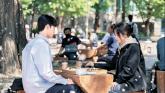 '더글로리'에서 송혜교가 바둑 두던 그 공원... 불법 도박단 활동 중이었다