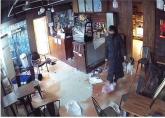 망치로 반려견 때려 죽여놓고 적반하장 소송 건 동물카페 주인