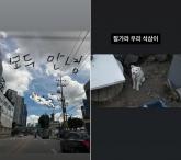 이효리, 암투병 중이던 반려견 떠나보냈다... '잘가라 우리 석삼이'