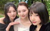 레드벨벳 조이, '나혼산' 동생 결혼식서 단발머리로 등장... '하객 미모' 레전드 찍었다