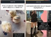 '무지했던 내 잘못'... '여신 강림' 야옹이 작가, 탈세 논란 후 솔직한 심경 전했다